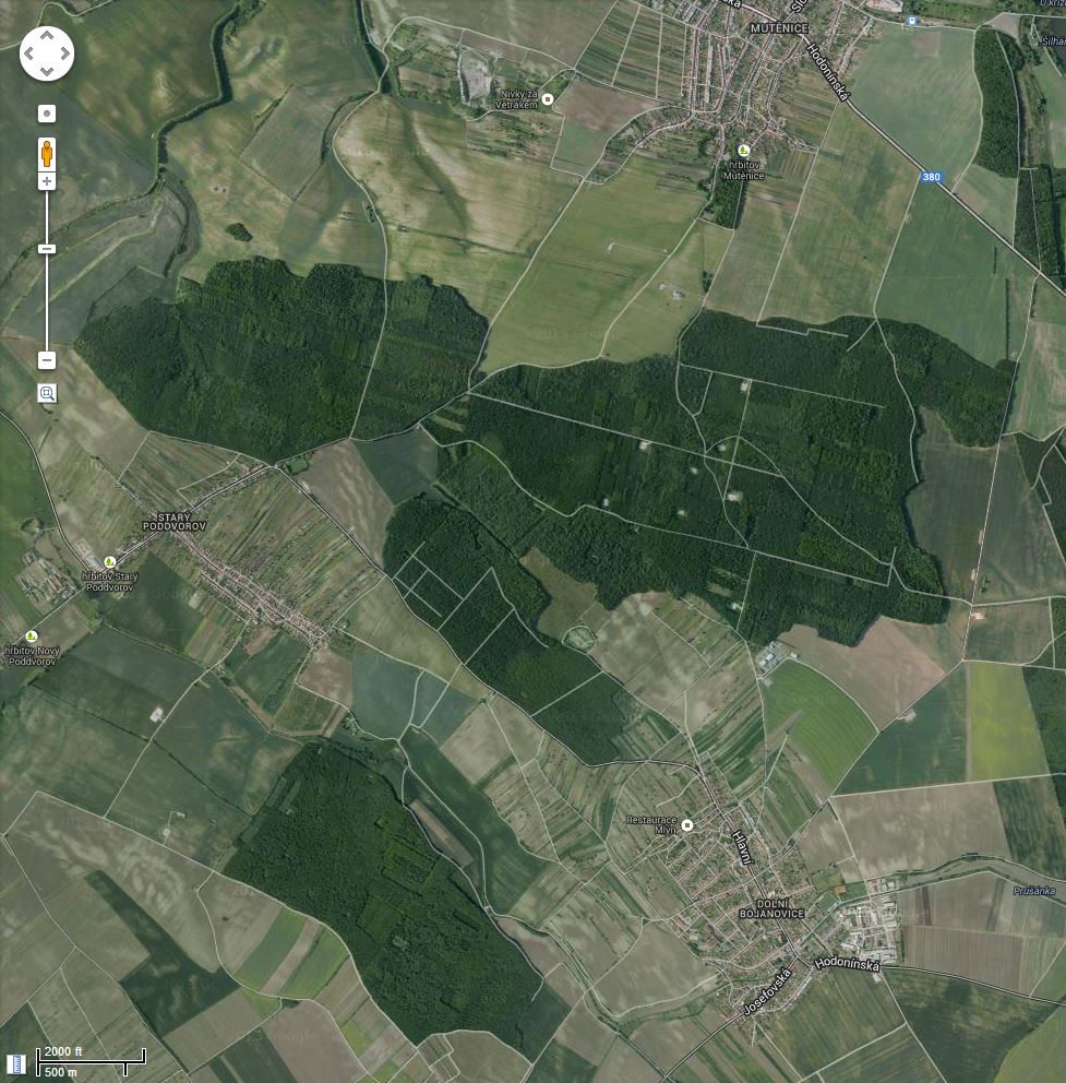 Figure 5 Vrty na ložisku u Mutěnic, j. Morava. Stejná oblast jako na následující mapě. Foto Google.
